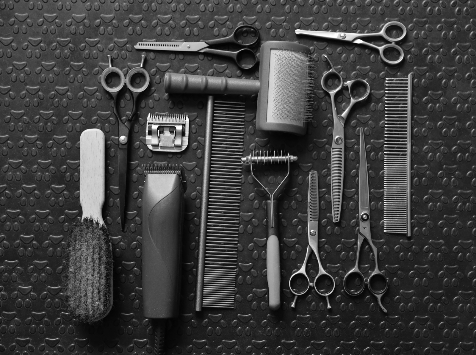 Professional dog grooming scissors being sharpened